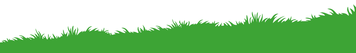 grass-1